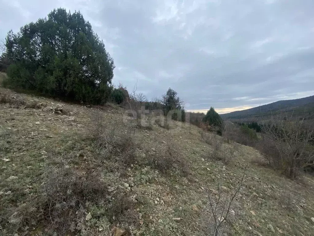 Участок в Крым, Алушта муниципальный округ, с. Приветное  (5.0 сот.) - Фото 1