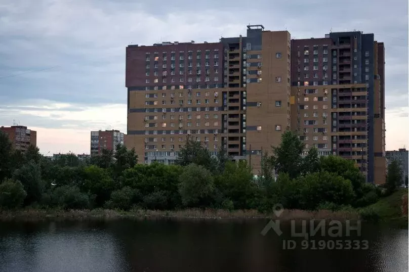 1-к кв. Нижегородская область, Нижний Новгород Мещерское Озеро ... - Фото 1