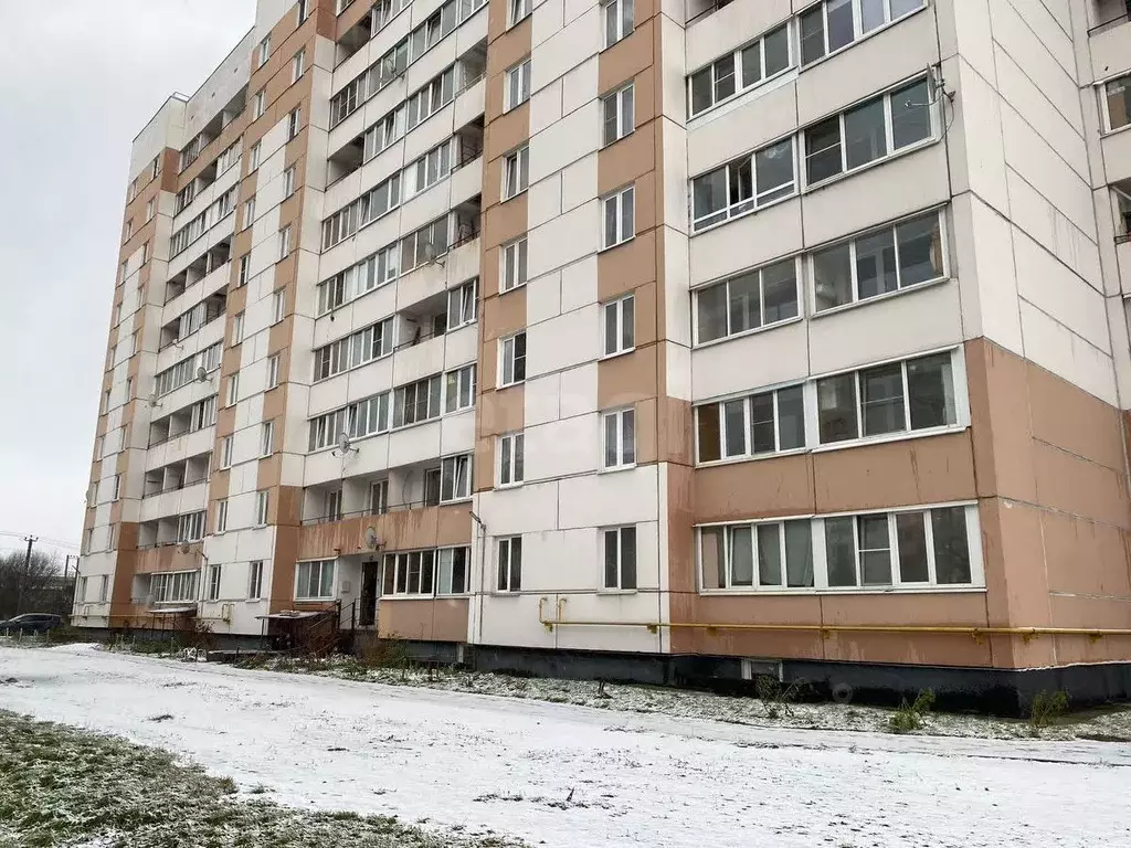 Торговая площадь в Ленинградская область, Всеволожский район, Имени ... - Фото 1