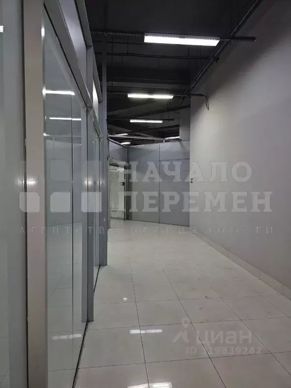 Помещение свободного назначения в Новосибирская область, Новосибирск ... - Фото 1