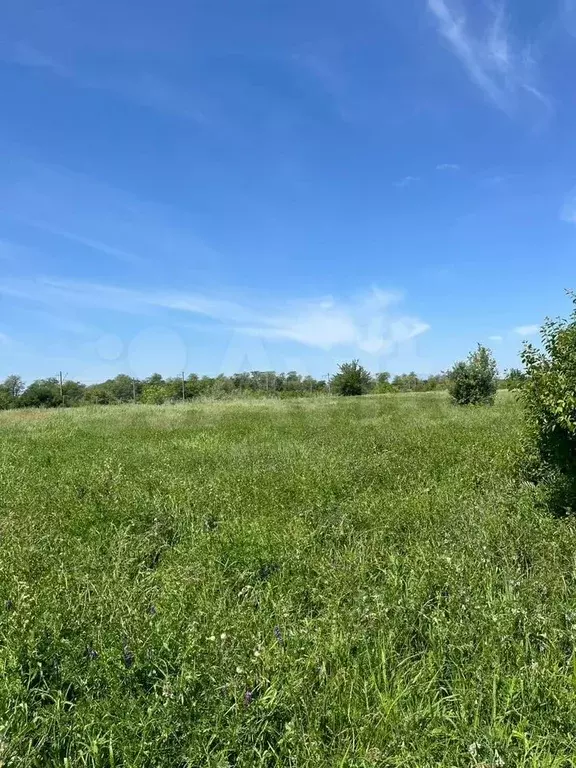 Участок 11 сот. (ИЖС) - Фото 1