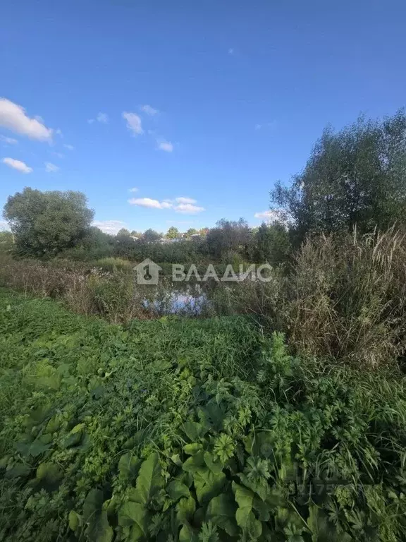 Участок в Владимирская область, Суздальский район, Новоалександровское ... - Фото 0