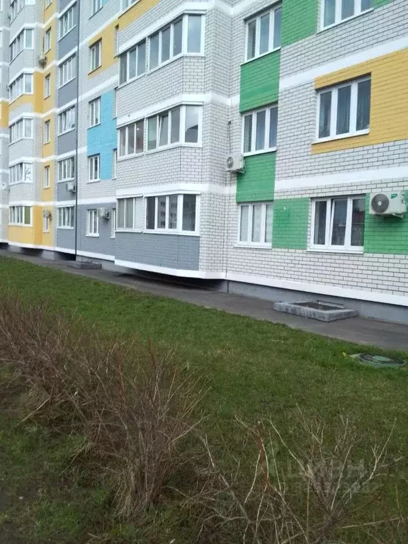 1-к кв. Брянская область, Брянск ул. Имени О.Н. Строкина, 6 (30.0 м) - Фото 1