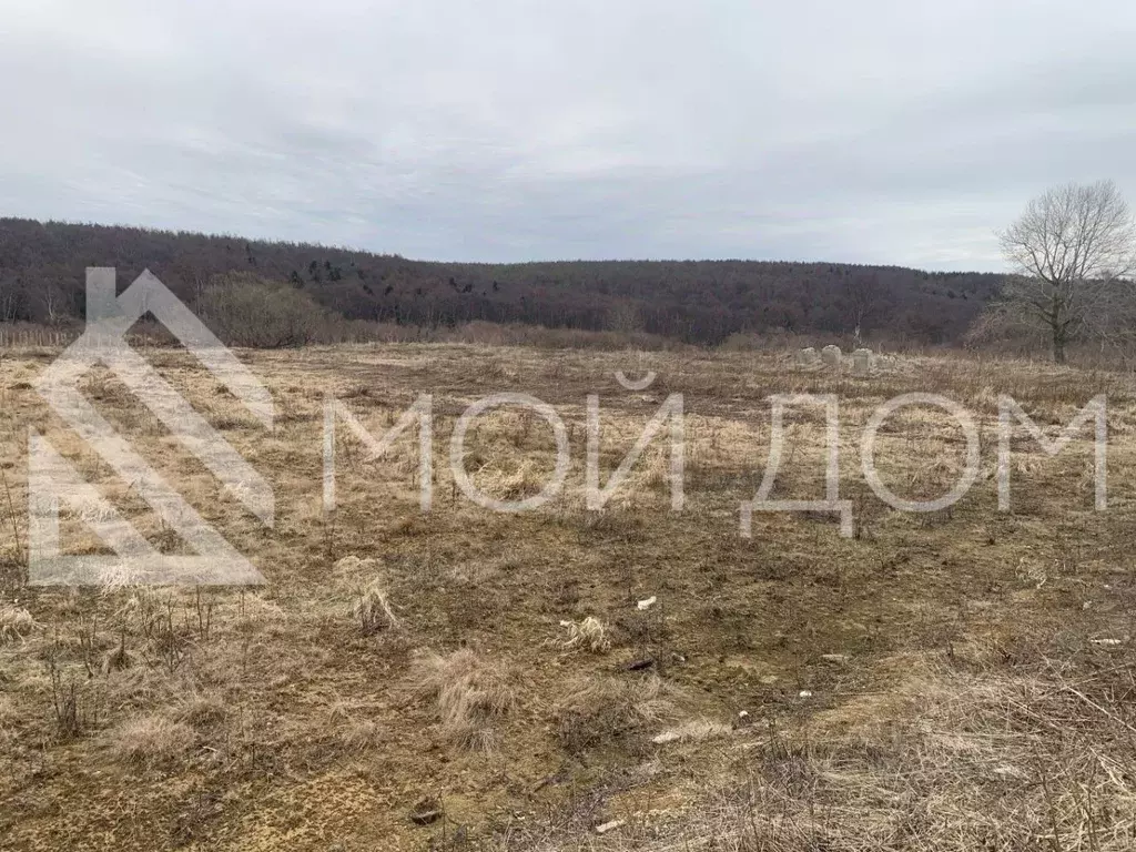 Участок в Сахалинская область, Корсаковский городской округ, с. ... - Фото 1