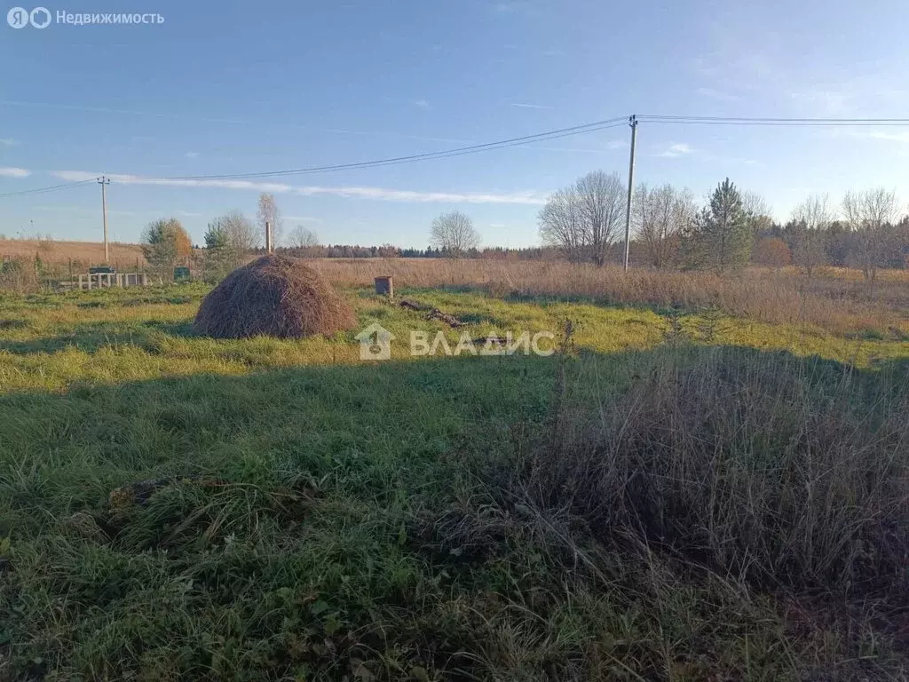 Участок в Лопухинское сельское поселение, СНТ Сказка, 178 (6.04 м) - Фото 2