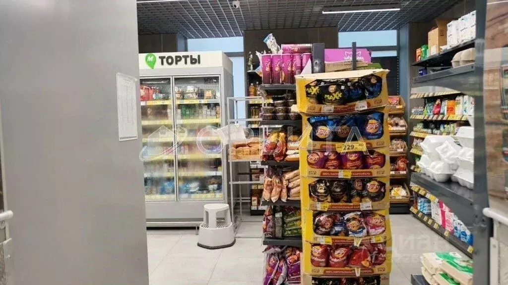 Торговая площадь в Тюменская область, Ялуторовск ул. Свободы, 228 (227 ... - Фото 1