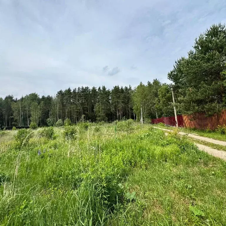 Продается участок в д. Пласкинино - Фото 2