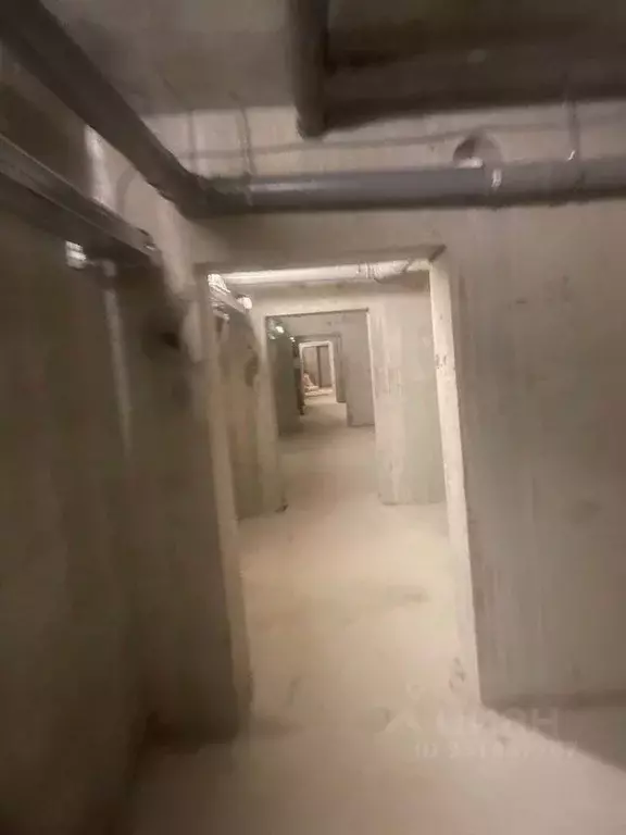 Помещение свободного назначения в Ленинградская область, Выборгский ... - Фото 2