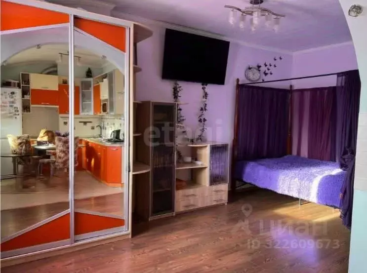 Студия Ханты-Мансийский АО, Ханты-Мансийск ул. Гагарина, 193 (29.0 м) - Фото 2