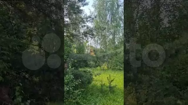 Участок 10,9 сот. (ИЖС) - Фото 1