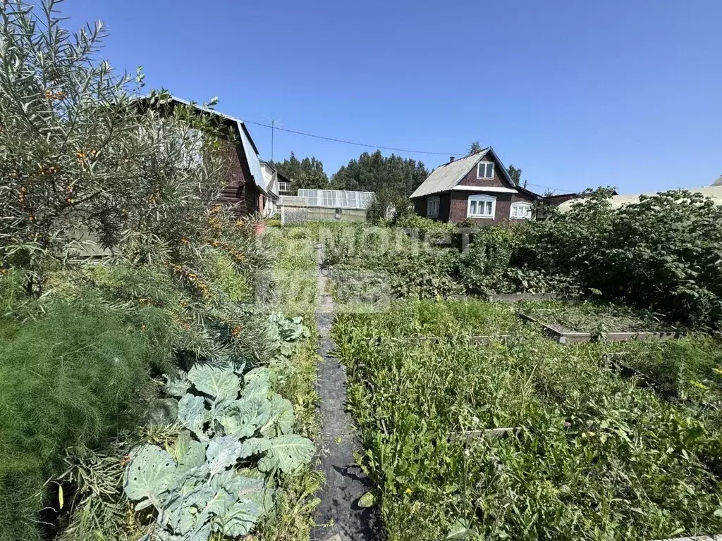 Участок в Свердловская область, Первоуральск № 44 садоводческое ... - Фото 1