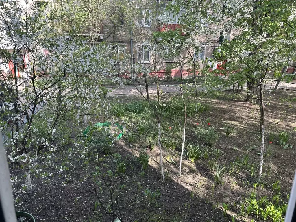1-к кв. Московская область, Люберцы Красногорская ул., 22к4 (33.0 м) - Фото 0