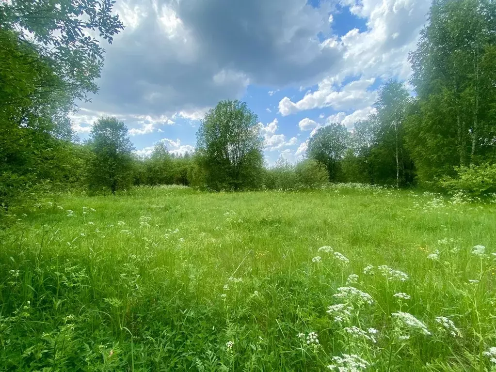 Участок в Владимирская область, Александровский район, Шаблыкино ДНТ  ... - Фото 0