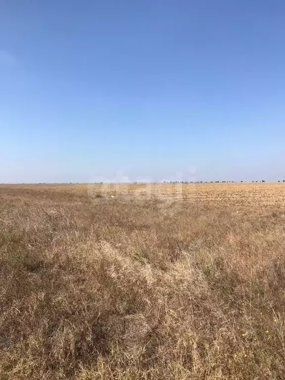Участок в Крым, Первомайский район, Степновское с/пос, с. Крыловка  ... - Фото 2