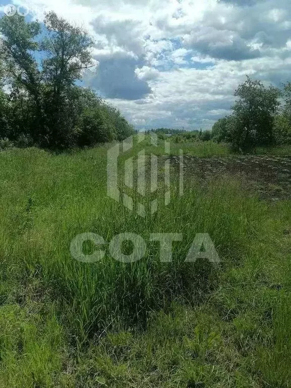 Участок в село Новая Усмань, Октябрьская улица, 57 (17.14 м) - Фото 1