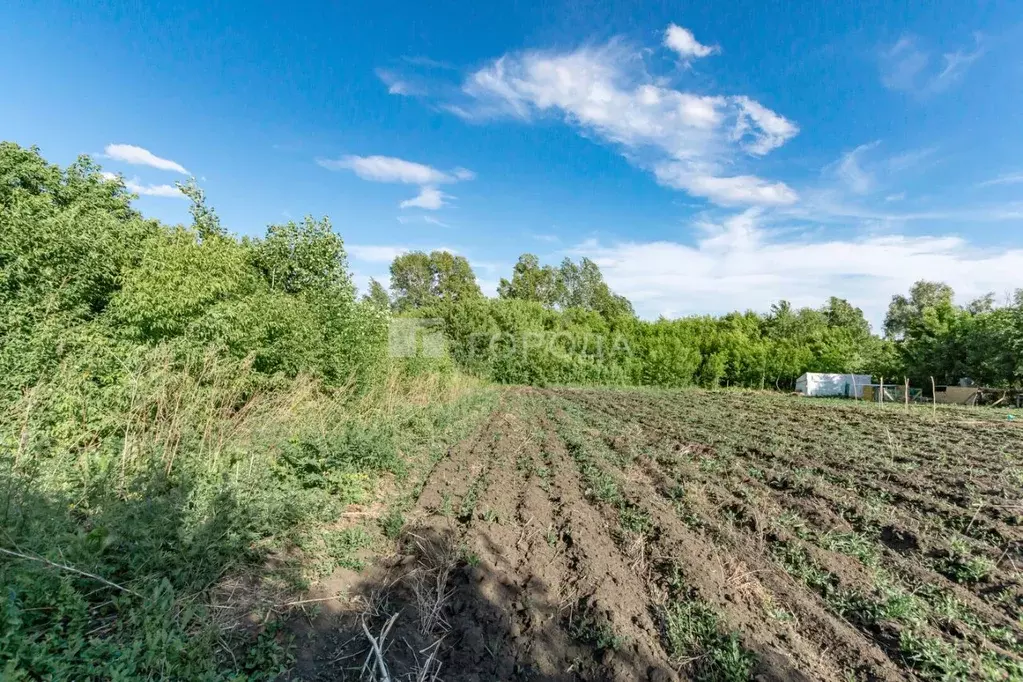 Участок в Алтайский край, Барнаул городской округ, пос. Черницк ул. ... - Фото 2