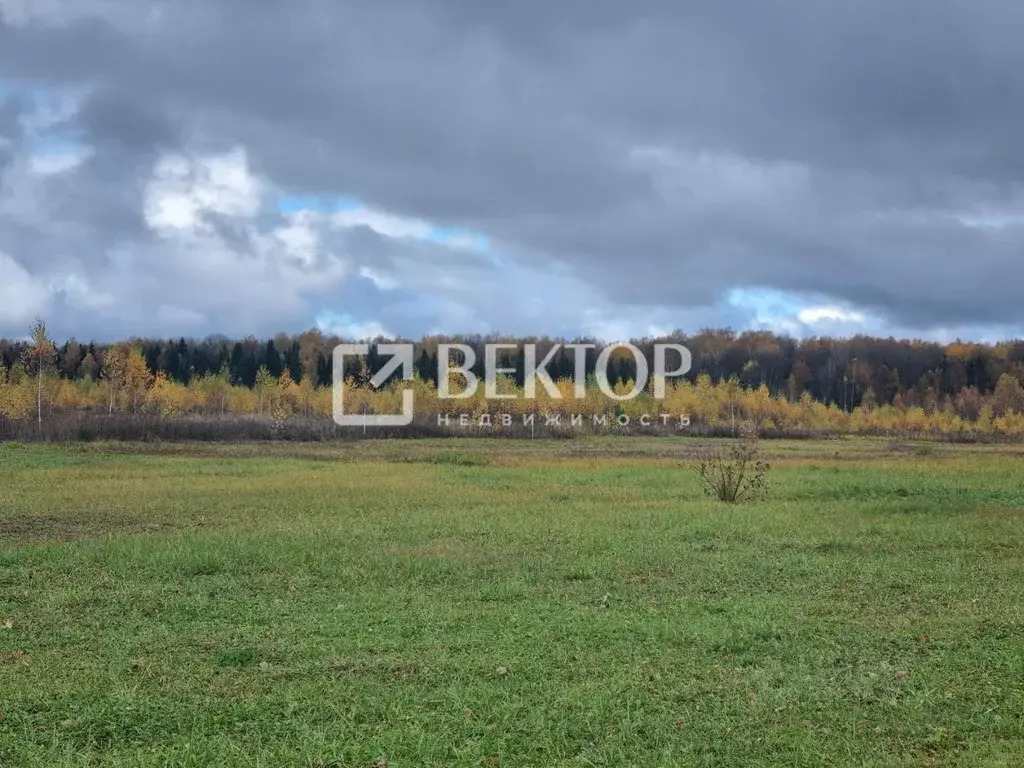 Участок в Ивановская область, Ивановский район, Беляницкое с/пос, д. ... - Фото 1