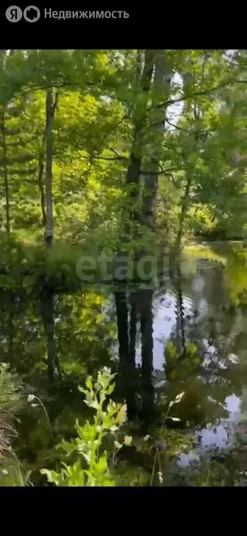 Участок в Всеволожск, микрорайон Бернгардовка (34 м) - Фото 0