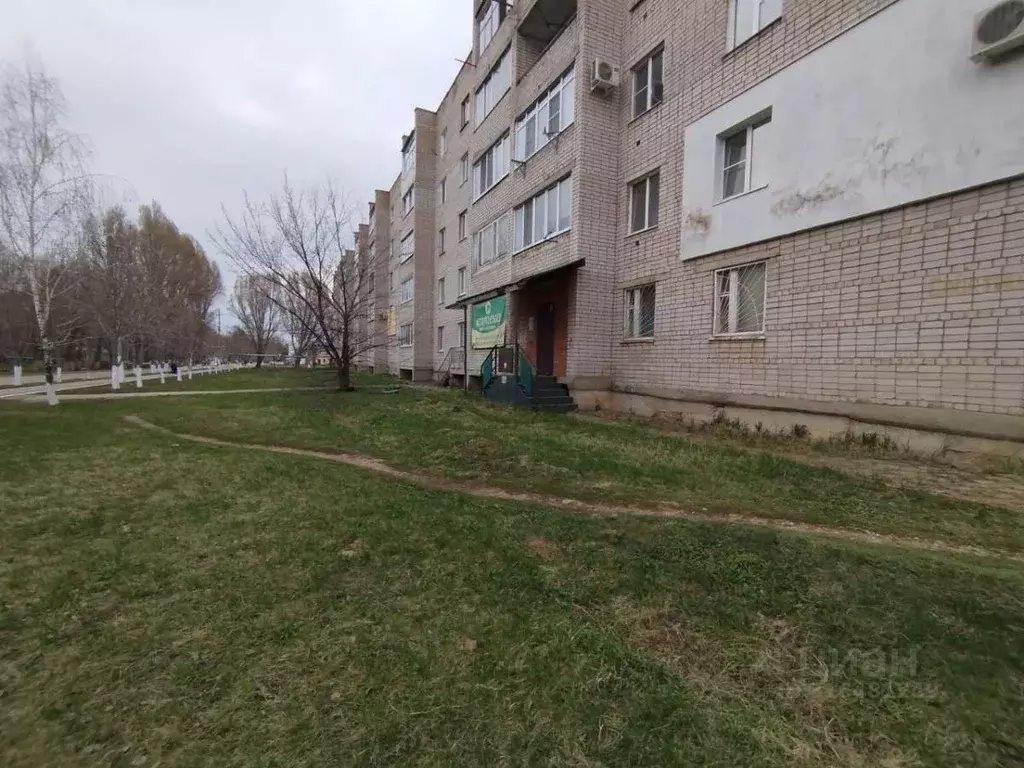 Торговая площадь в Самарская область, Кинель городской округ, ... - Фото 1