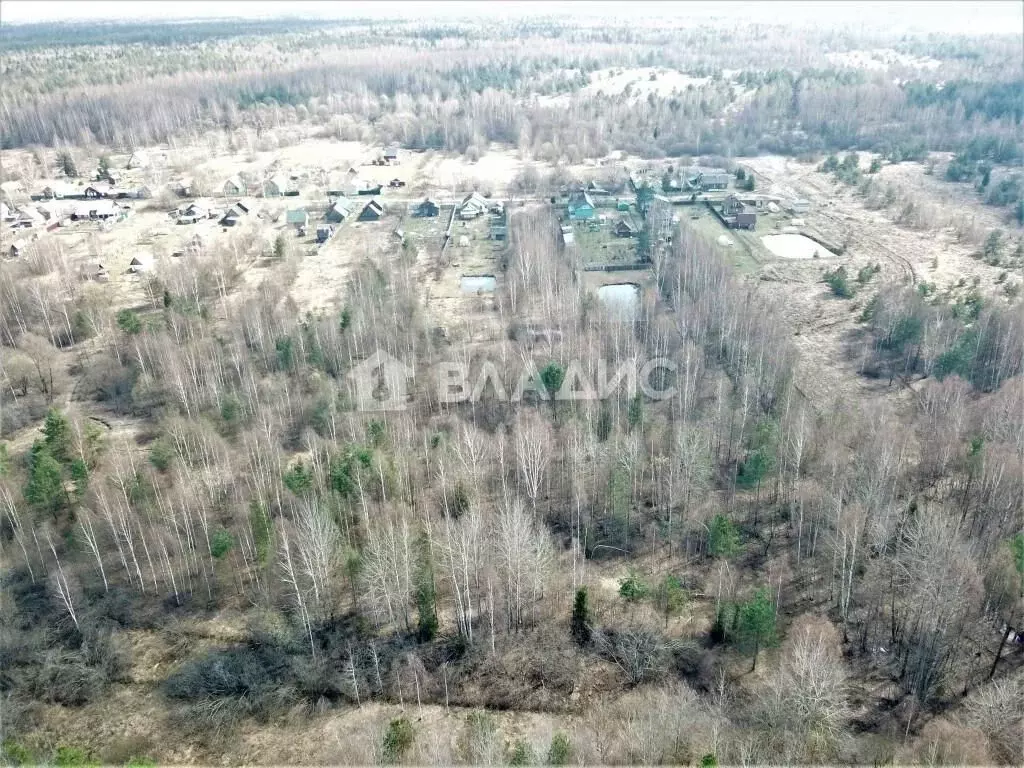 Участок в Владимирская область, Судогодский район, Лавровское ... - Фото 0