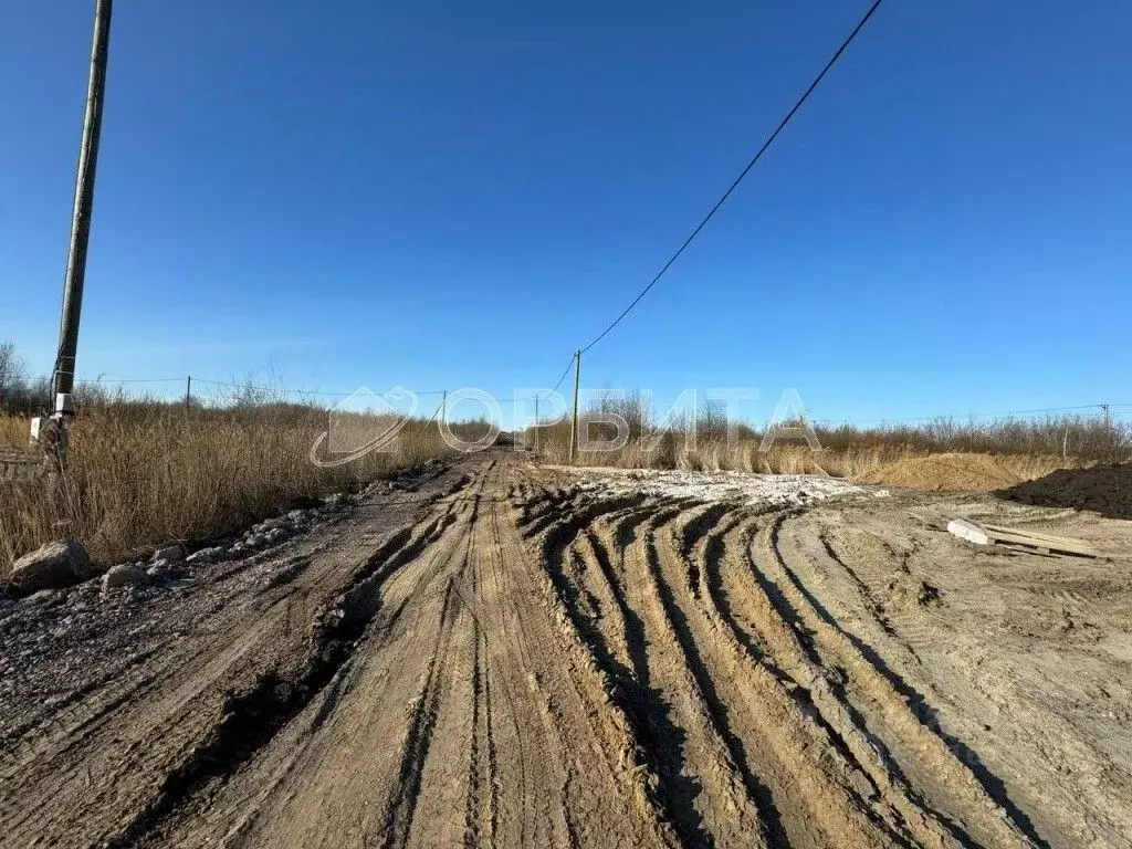 Участок в Тюменская область, Тюмень Матрешка СНТ, ул. Елисеевская ... - Фото 1
