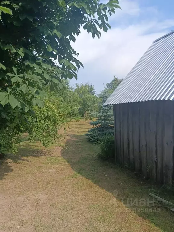 Дом в Марий Эл, Волжский район, Большепаратское с/пос, с. Новые Параты ... - Фото 1