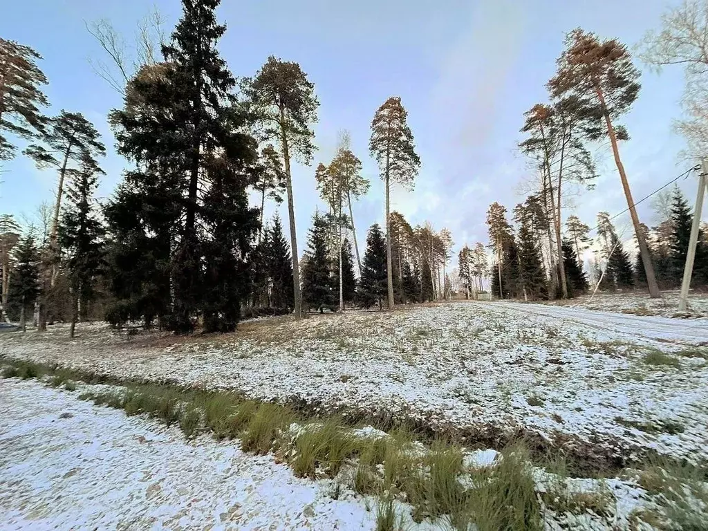 Участок в Московская область, Щелково городской округ, Литвиново ... - Фото 2