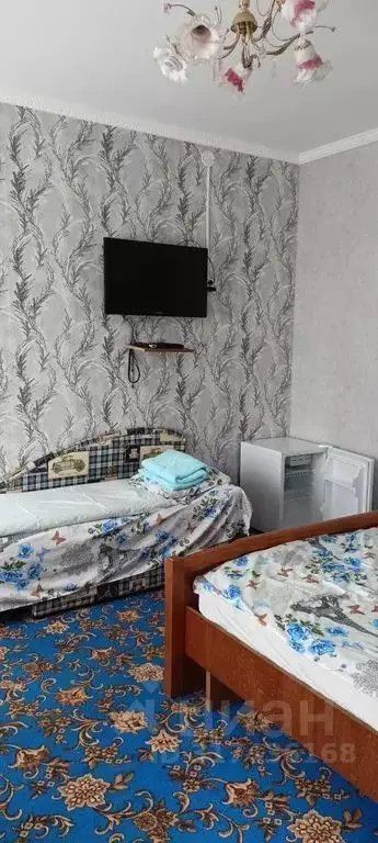 Комната Краснодарский край, Темрюкский район, Голубицкое с/пос, ... - Фото 1
