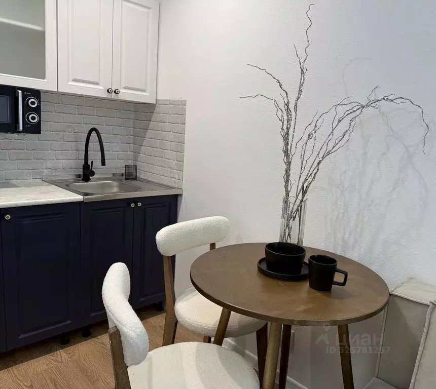 Студия Москва ул. Трехполье, 6к1 (20.0 м) - Фото 1