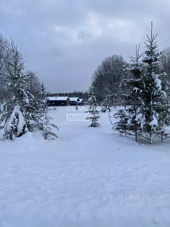 Участок в Московская область, Дмитровский муниципальный округ, д. ... - Фото 1