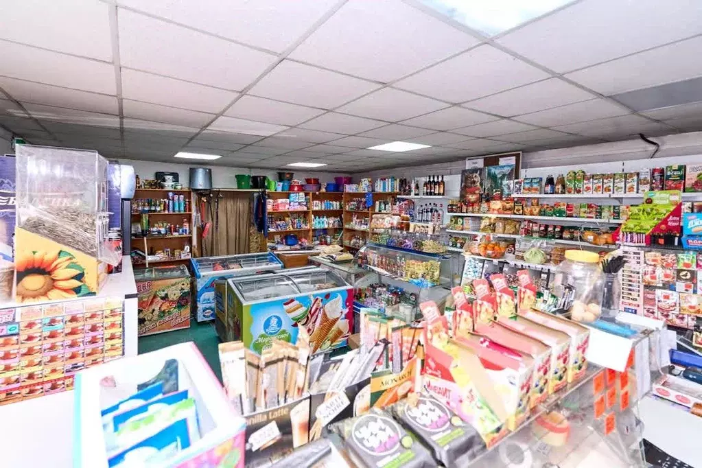 Торговая площадь в Томская область, Томский район, с. Александровское ... - Фото 1