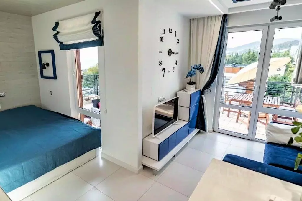1-к кв. Краснодарский край, Сочи ул. Ленина, 298В/7 (28.0 м) - Фото 1