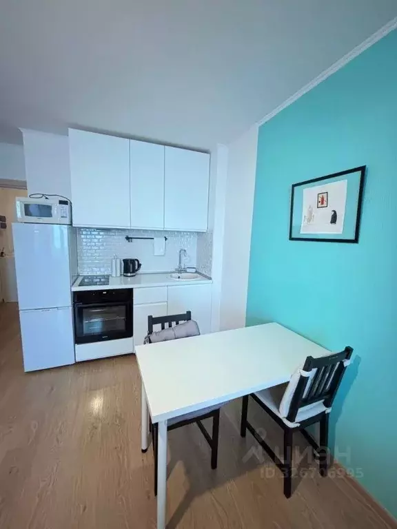 Студия Санкт-Петербург просп. Энергетиков, 9к6 (25.0 м) - Фото 2