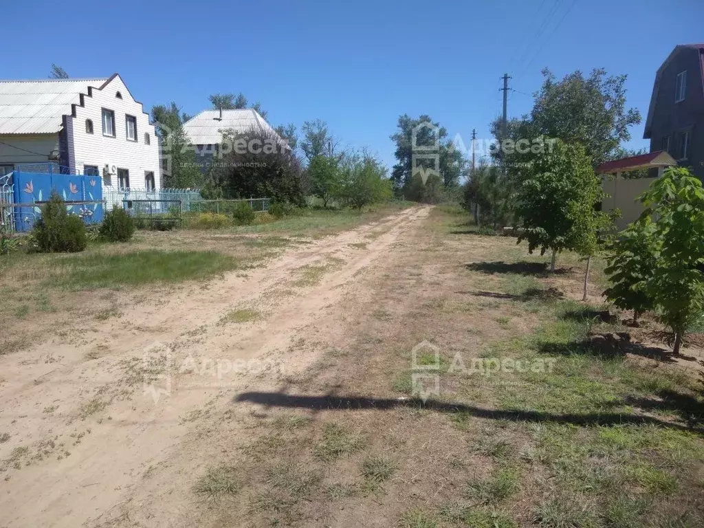 Участок в Волгоградская область, Среднеахтубинский район, Кировское ... - Фото 2