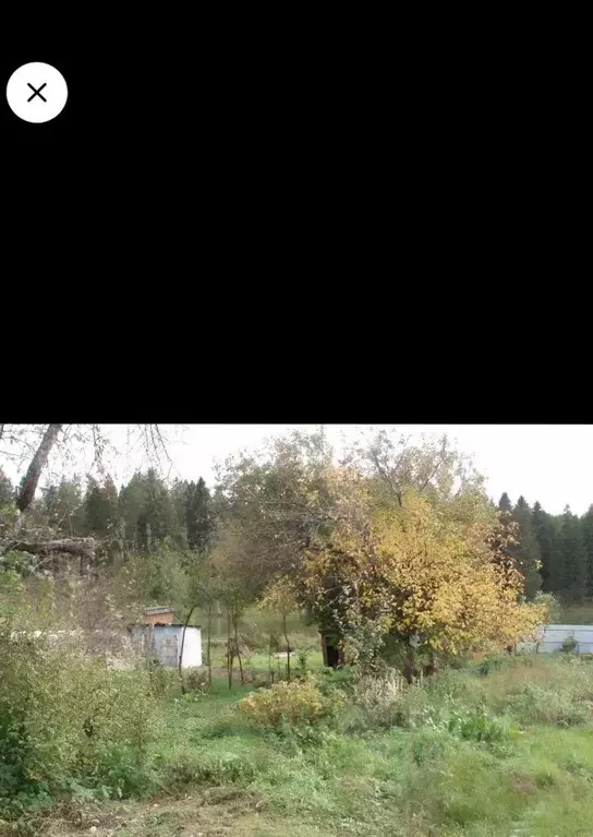 Участок в Тамбовская область, Тамбовский муниципальный округ, пос. ... - Фото 1