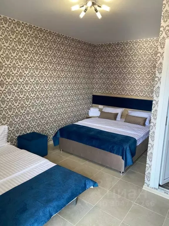 Комната Краснодарский край, Сочи ул. Декабристов, 163Кс1 - Фото 1