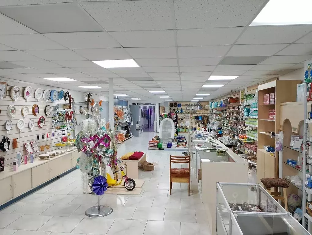 Помещение свободного назначения в Владимирская область, Владимир ... - Фото 1