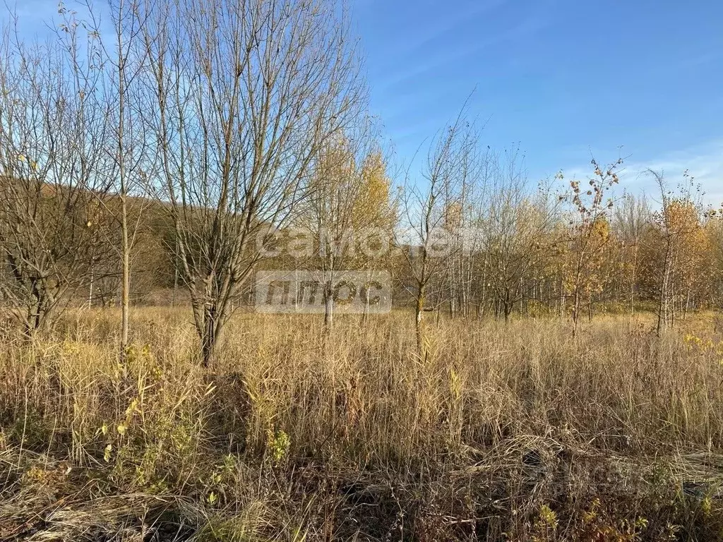 Участок в Пензенская область, Пенза Дубрава кп, проезд 3-й Лиственный ... - Фото 1