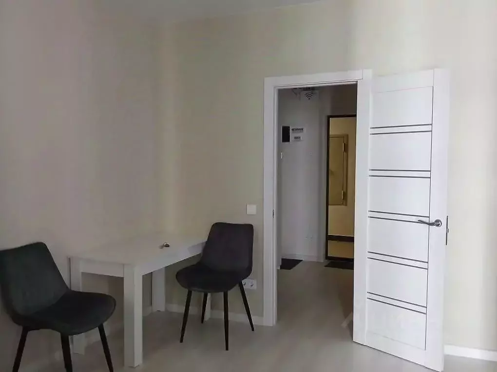 Студия Московская область, Подольск городской округ, д. Борисовка ул. ... - Фото 2