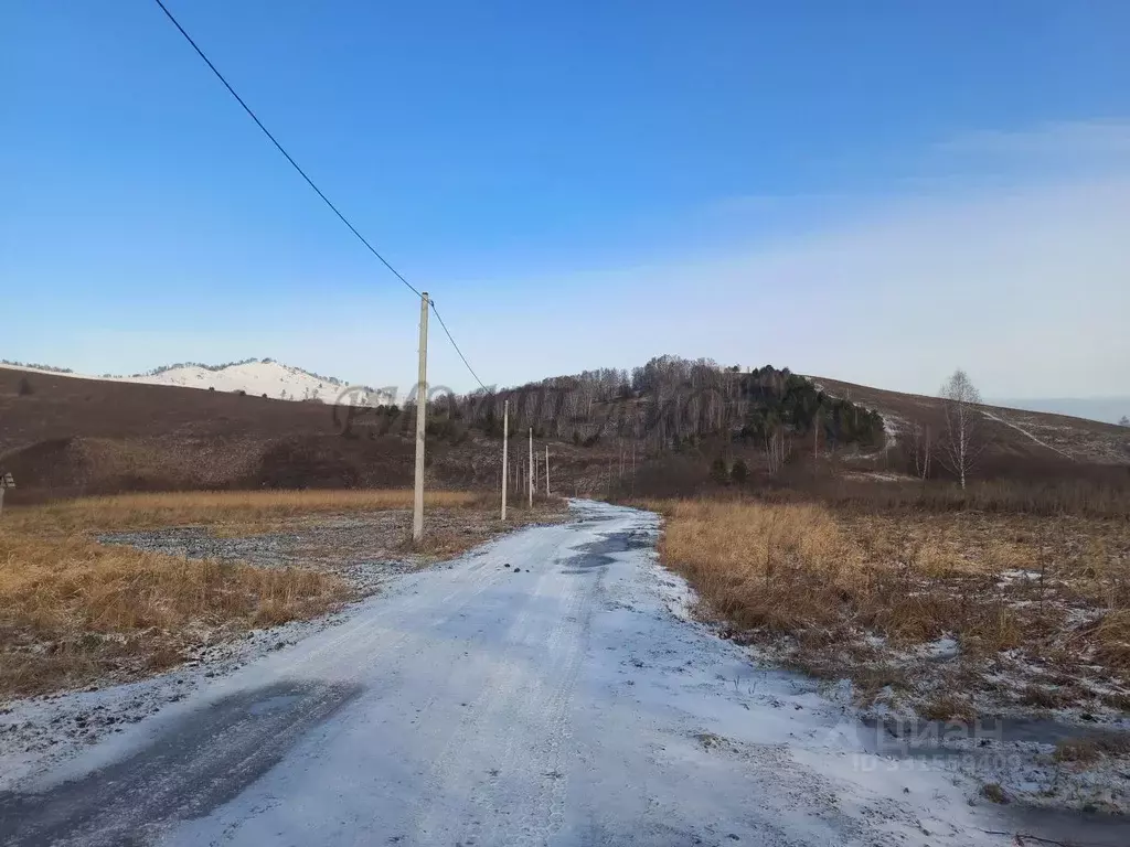 Участок в Алтай, Майминский район, пос. Улалушка  (50.0 сот.) - Фото 1