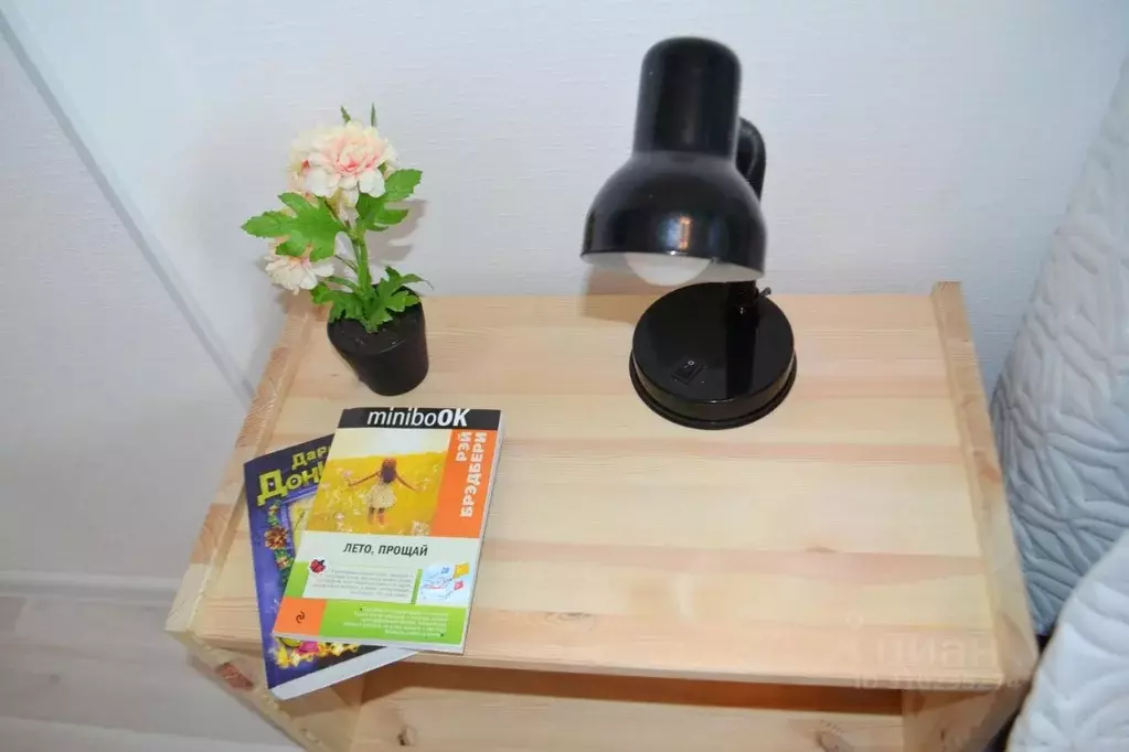 1-к кв. Московская область, Ногинск Богородский городской округ, ул. ... - Фото 2