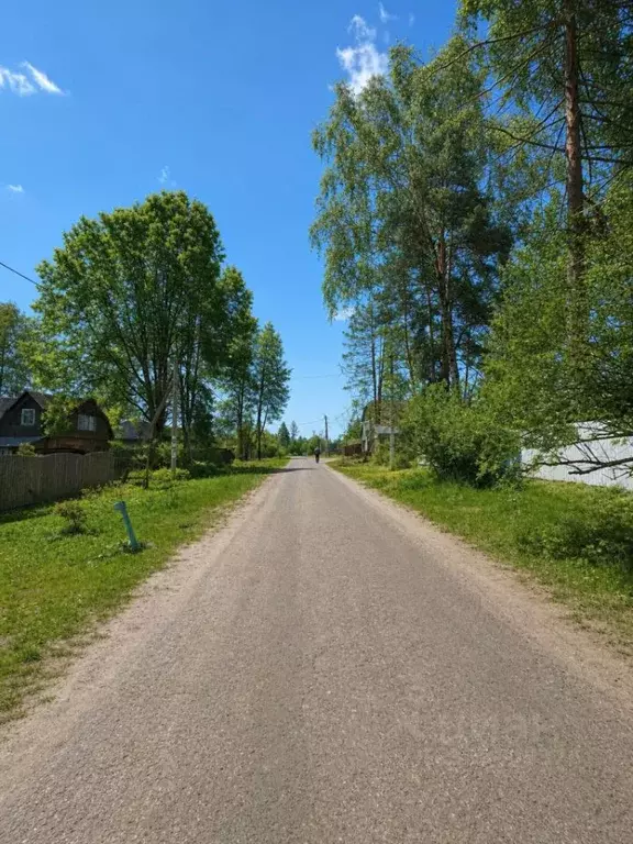 Участок в Московская область, Химки Фирсановка мкр, ул. Серова, 16 ... - Фото 2