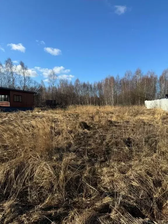 Участок в Московская область, Серпухов городской округ, д. Шатово  ... - Фото 2