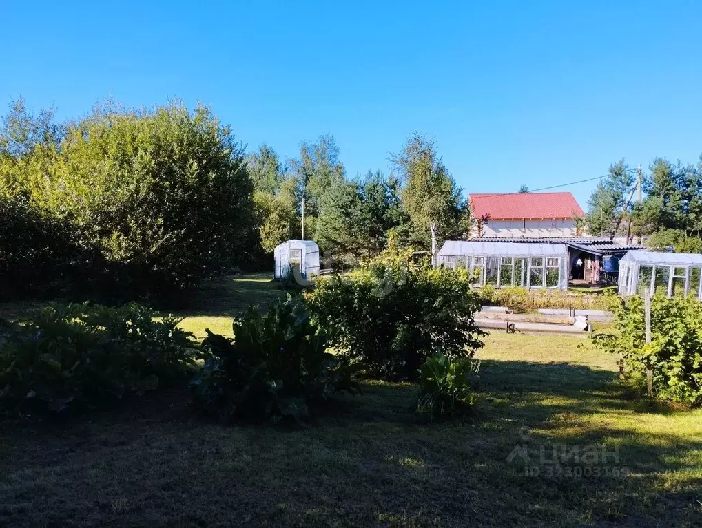 Участок в Ленинградская область, Киришский район, Пчевжинское с/пос, ... - Фото 1