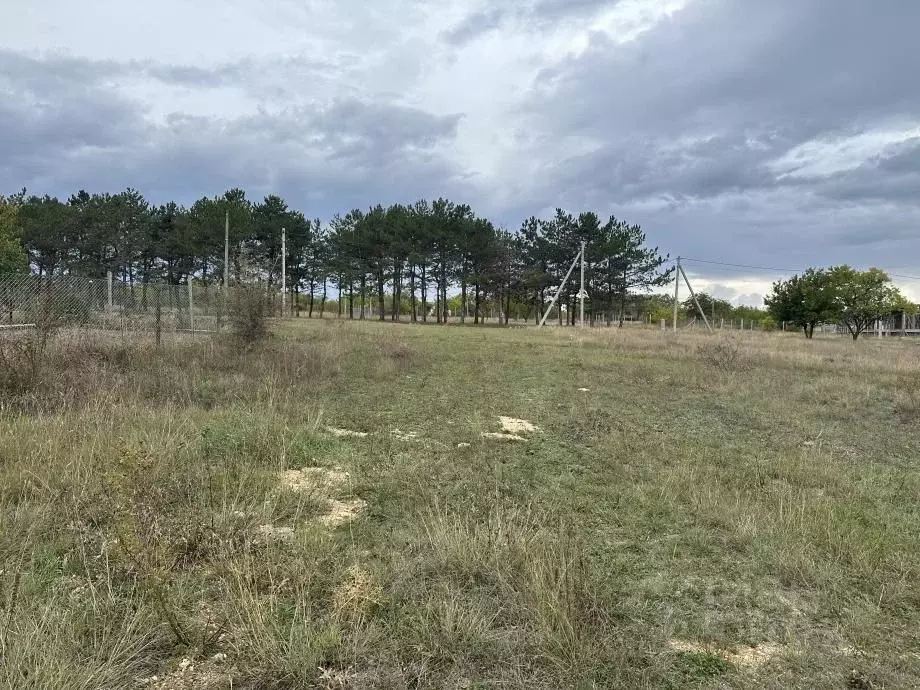 Участок в Крым, Симферопольский район, Трудовское с/пос, Бештерек СТ  ... - Фото 1