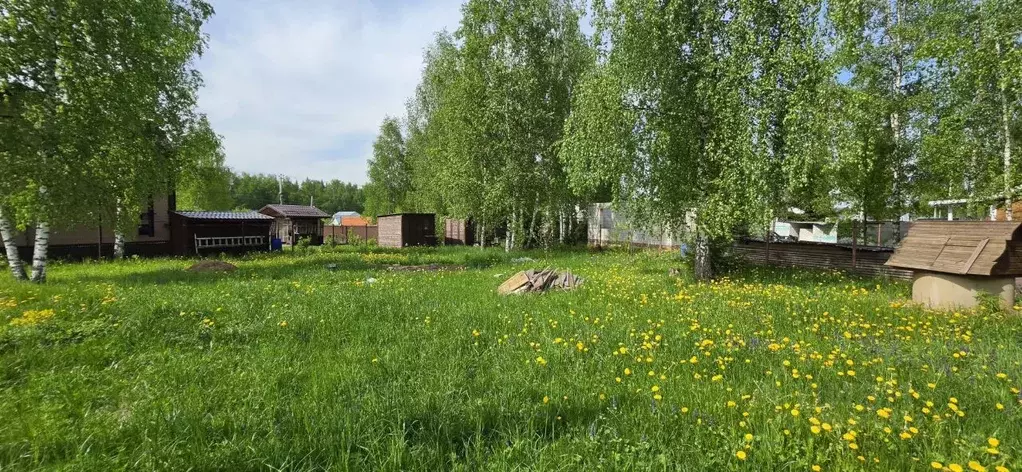 Участок в Московская область, Солнечногорск городской округ, Пятницкие ... - Фото 1