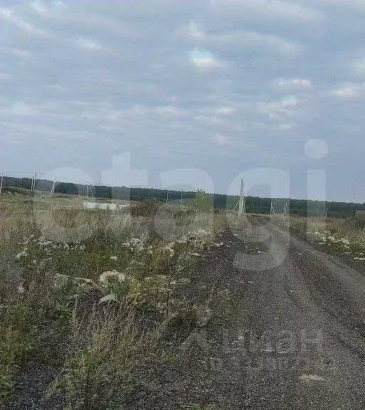 Участок в Челябинская область, Аргаяшский муниципальный округ, д. ... - Фото 1