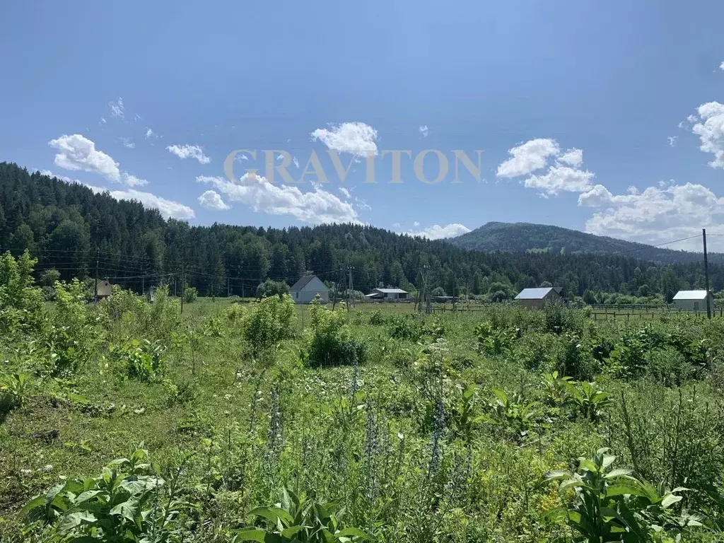 Участок в Алтай, Майминский район, с. Кызыл-Озек Советская ул. (10.0 ... - Фото 1