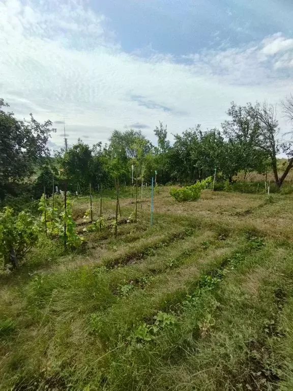 Участок в Саратовская область, Саратов Водник СНТ,  (7.0 сот.) - Фото 1