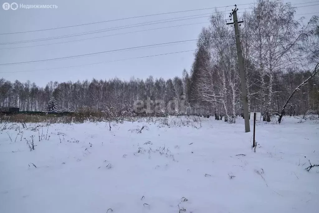 Участок в село Новое Барятино, Светлая улица (9.5 м) - Фото 0